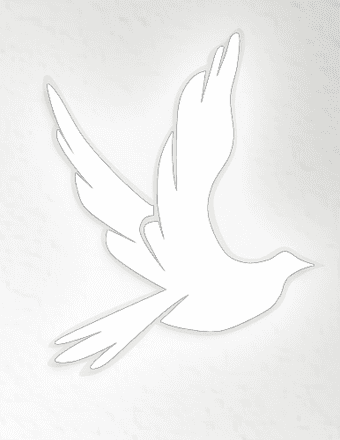 Maggielynn Diane Rosa Obituary
